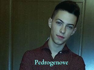Pedrogenove