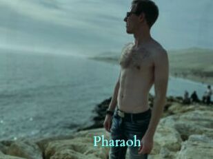 Pharaoh