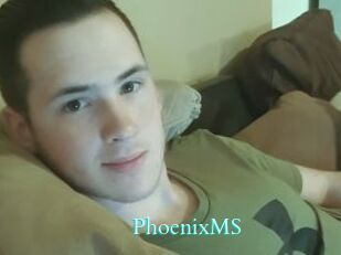 PhoenixMS