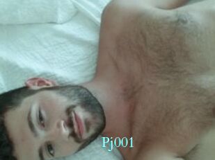 Pj001