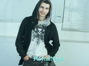 PlayfulNigel