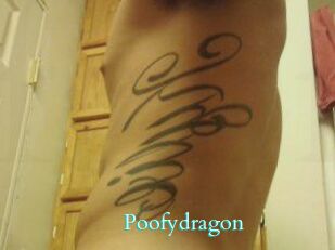Poofydragon