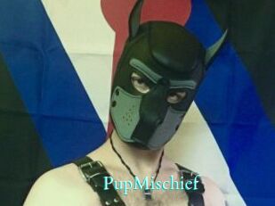 PupMischief