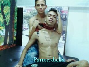 Partnerdicks