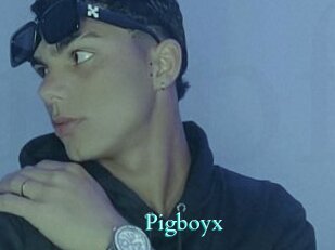Pigboyx