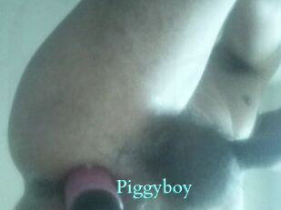 Piggyboy