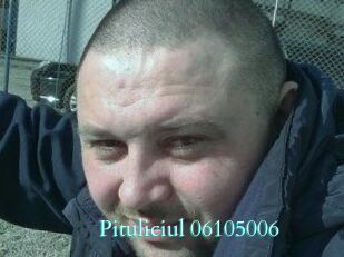 Pituliciul-06105006