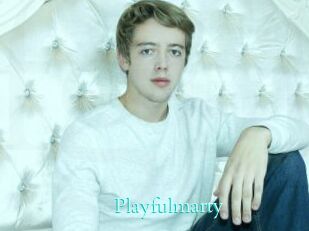 Playfulmarty