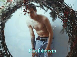Playfultorvin