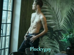 Pluckygay