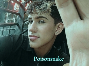 Poisonsnake