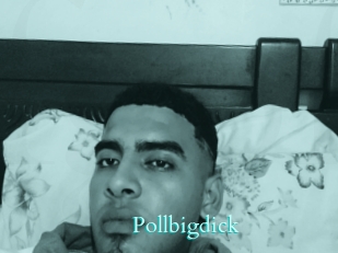 Pollbigdick