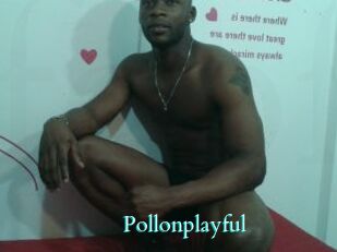Pollonplayful
