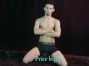 Price_big23