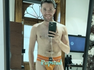 Pupstud
