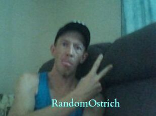 RandomOstrich