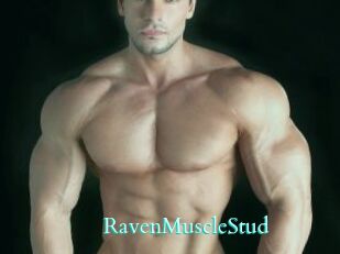 RavenMuscleStud