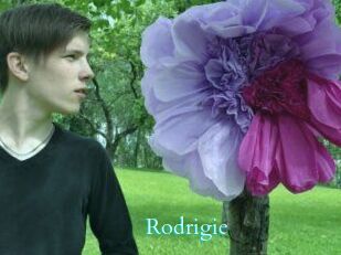 Rodrigie