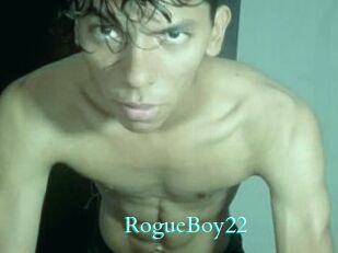 RogueBoy22