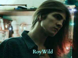 RoyWild