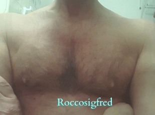 Roccosigfred