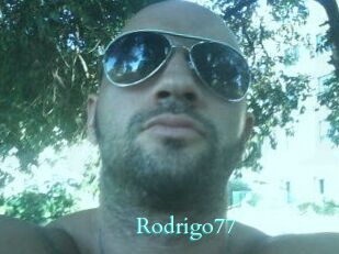 Rodrigo77