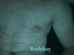 Roybiboy
