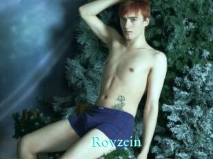 Royzein