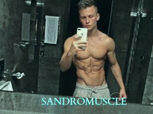 SANDRO_MUSCLE