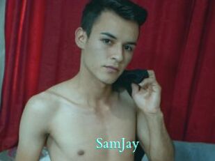 SamJay Free Gay Porn Finder