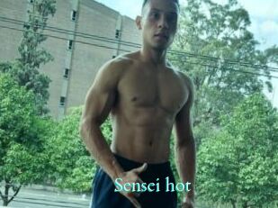 Sensei_hot