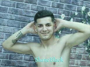 ShaneBlack