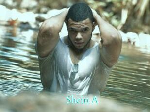 Shein_A