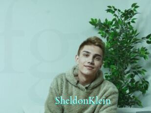 SheldonKlein