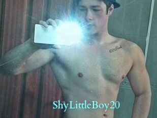 ShyLittleBoy20