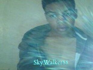 SkyWalker88