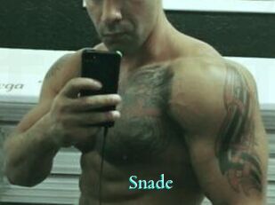 Snade