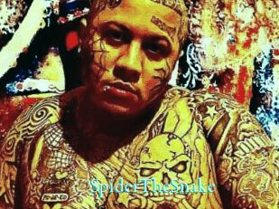 SpiderTheSnake