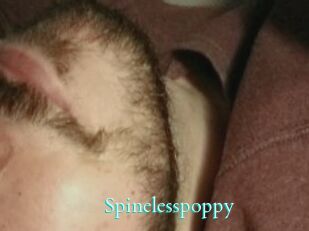 Spinelesspoppy
