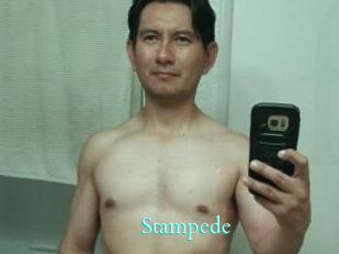 Stampede