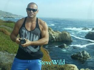 Steve_Wild