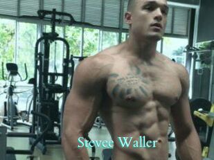 Stevee_Waller