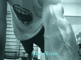 StevieVeins