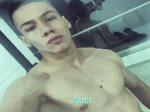Stier