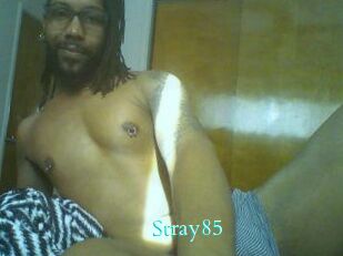 Stray85