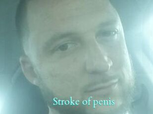 Stroke_of_penis