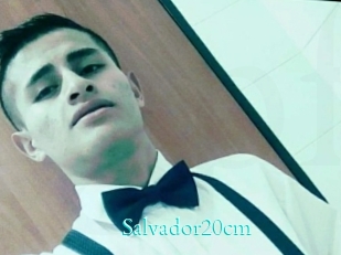 Salvador20cm