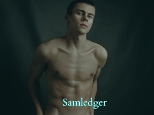 Samledger