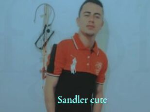 Sandler_cute
