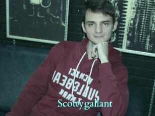 Scottygallant
